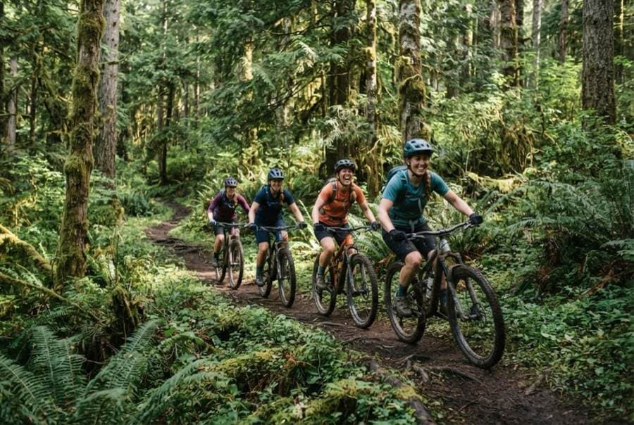 Mountain bikers riding singletrack through a forest